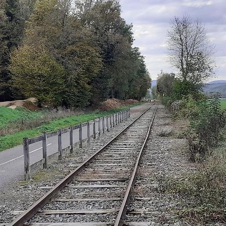 A L'Oree Du Bois "Les Hetres" Guewenheim Esterno foto