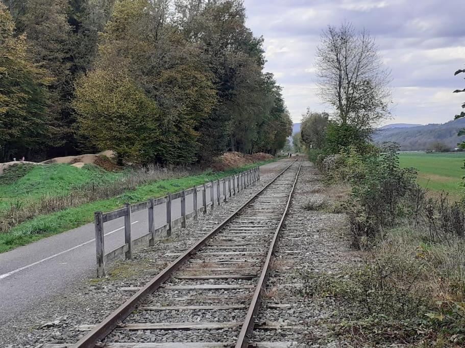 A L'Oree Du Bois "Les Hetres" Guewenheim Esterno foto