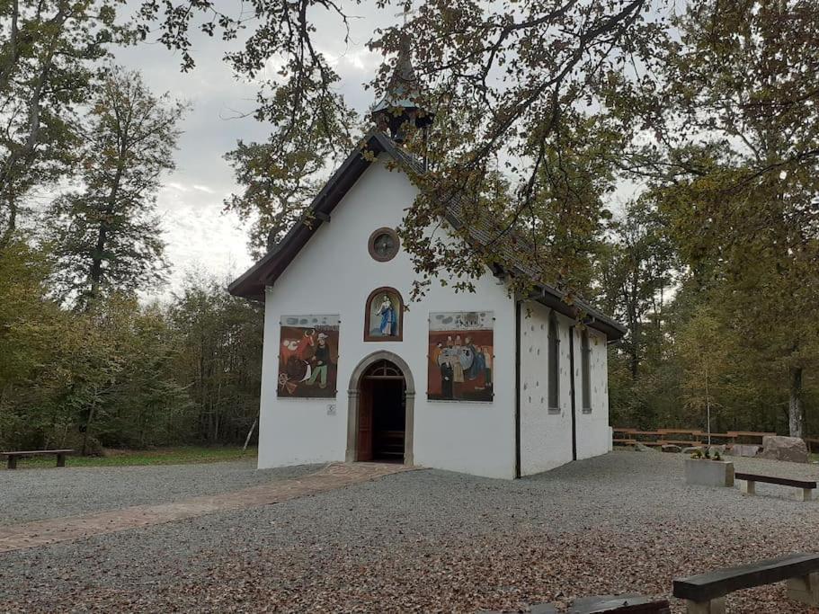 A L'Oree Du Bois "Les Hetres" Guewenheim Esterno foto